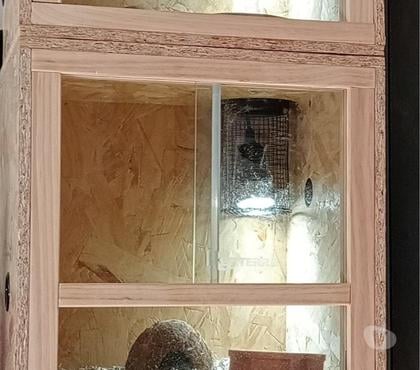 Vente animaux St Felix Reillac Mortemart Dordogne - Photos Vivastreet batterie terrarium et serpents