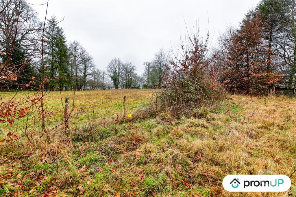 Terrain à vendre Haute-Vienne Peyrilhac - 87510 - Photos Vivastreet (V6486) Terrain constructible de 1468 m2 à PEYRILHAC DONT 300 M2