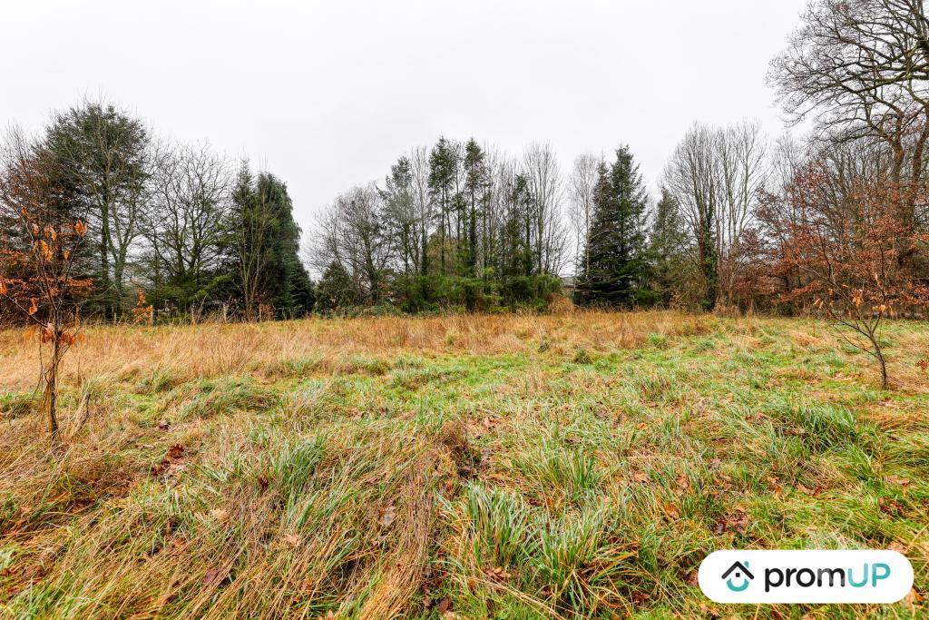 Terrain à vendre Haute-Vienne Peyrilhac - 87510 - Photos Vivastreet (V6486) Terrain constructible de 1468 m2 à PEYRILHAC DONT 300 M2