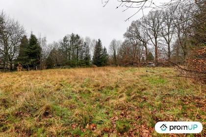 Vente Terrain Peyrilhac Haute-Vienne - Photos Vivastreet (V6486) Terrain constructible de 1468 m2 à PEYRILHAC DONT 300 M2