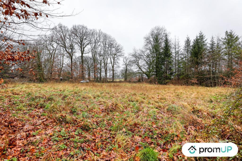 Terrain à vendre Haute-Vienne Peyrilhac - 87510 - Photos Vivastreet (V6485) Terrain non constructible de 1569 m2 à PEYRILHAC