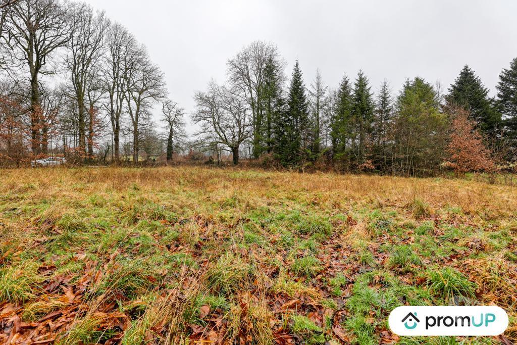 Terrain à vendre Haute-Vienne Peyrilhac - 87510 - Photos Vivastreet (V6485) Terrain non constructible de 1569 m2 à PEYRILHAC