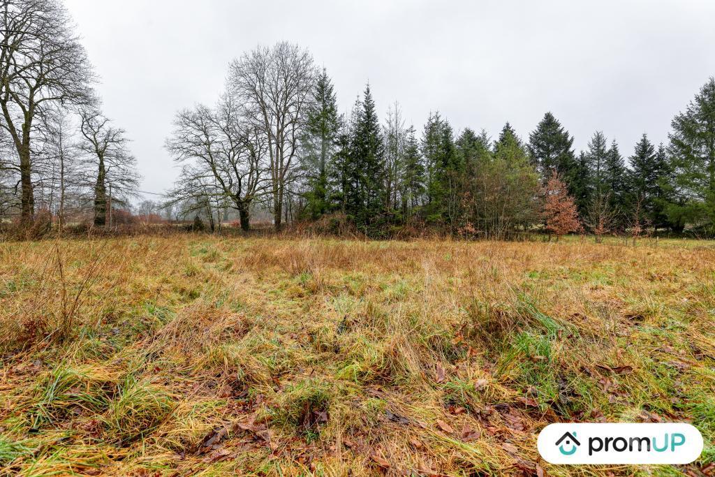Terrain à vendre Haute-Vienne Peyrilhac - 87510 - Photos Vivastreet (V6485) Terrain non constructible de 1569 m2 à PEYRILHAC