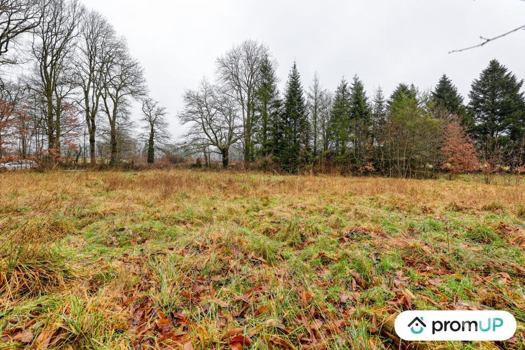 Terrain à vendre Haute-Vienne Peyrilhac - 87510 - Photos Vivastreet (V6485) Terrain non constructible de 1569 m2 à PEYRILHAC