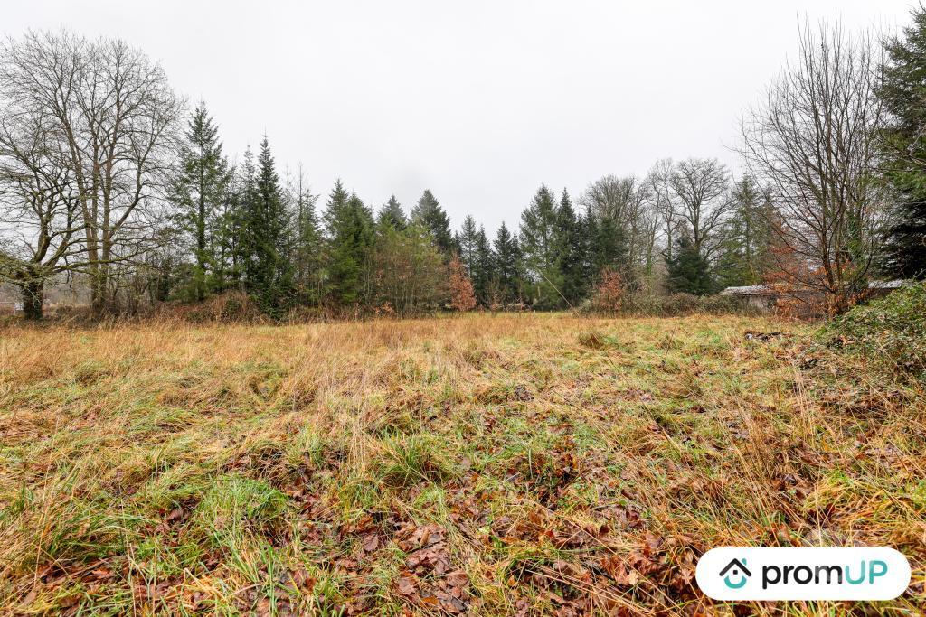 Terrain à vendre Haute-Vienne Peyrilhac - 87510 - Photos Vivastreet (V6485) Terrain non constructible de 1569 m2 à PEYRILHAC