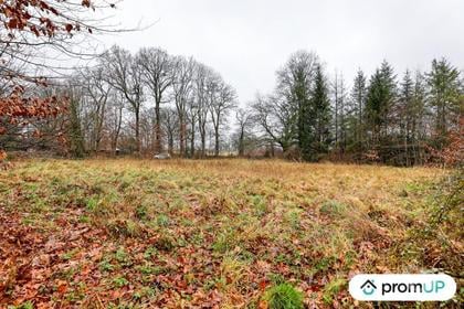 Vente Terrain Peyrilhac Haute-Vienne - Photos Vivastreet (V6485) Terrain non constructible de 1569 m2 à PEYRILHAC