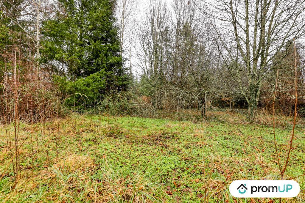 Terrain à vendre Haute-Vienne Peyrilhac - 87510 - Photos Vivastreet (V6488) Terrain agricole de 2200 m2 à PEYRILHAC