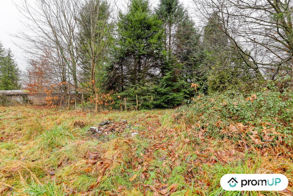 Terrain à vendre Haute-Vienne Peyrilhac - 87510 - Photos Vivastreet (V6488) Terrain agricole de 2200 m2 à PEYRILHAC