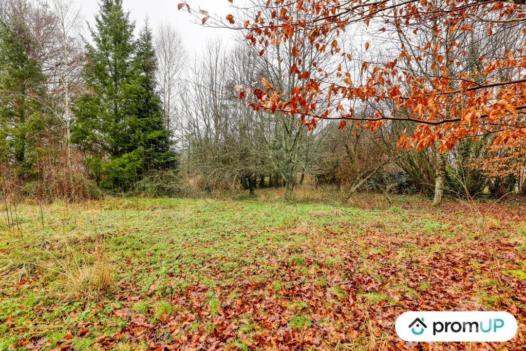 Terrain à vendre Haute-Vienne Peyrilhac - 87510 - Photos Vivastreet (V6488) Terrain agricole de 2200 m2 à PEYRILHAC