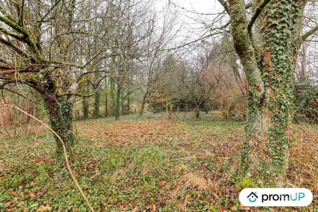 Terrain à vendre Haute-Vienne Peyrilhac - 87510 - Photos Vivastreet (V6489) Terrain agricole de 2740 m2 à PEYRILHAC