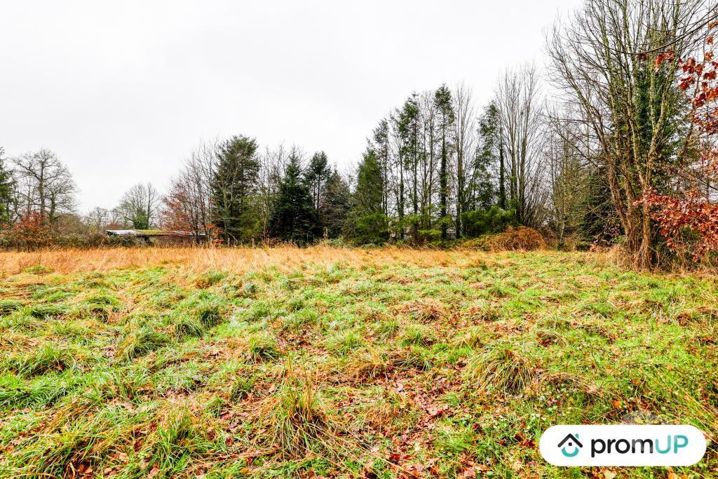 Terrain à vendre Haute-Vienne Peyrilhac - 87510 - Photos Vivastreet (V6487) Terrain de 1243 m2 DONT 300 M2 CONSTRUCTIBLE JUSQU'AU...