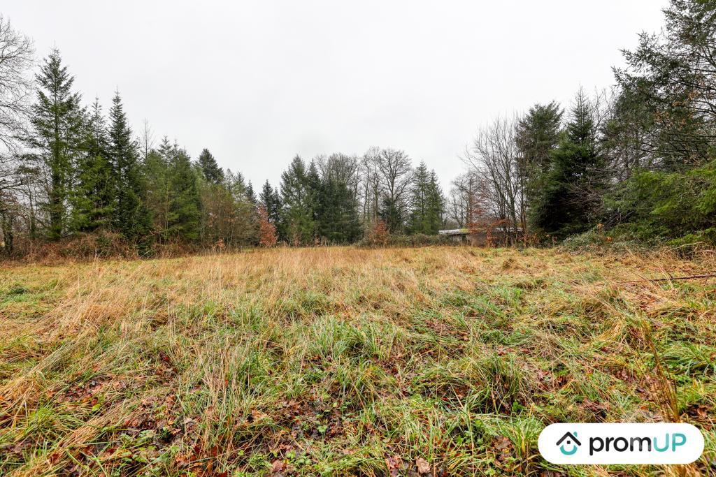 Terrain à vendre Haute-Vienne Peyrilhac - 87510 - Photos Vivastreet (V6487) Terrain de 1243 m2 DONT 300 M2 CONSTRUCTIBLE JUSQU'AU...