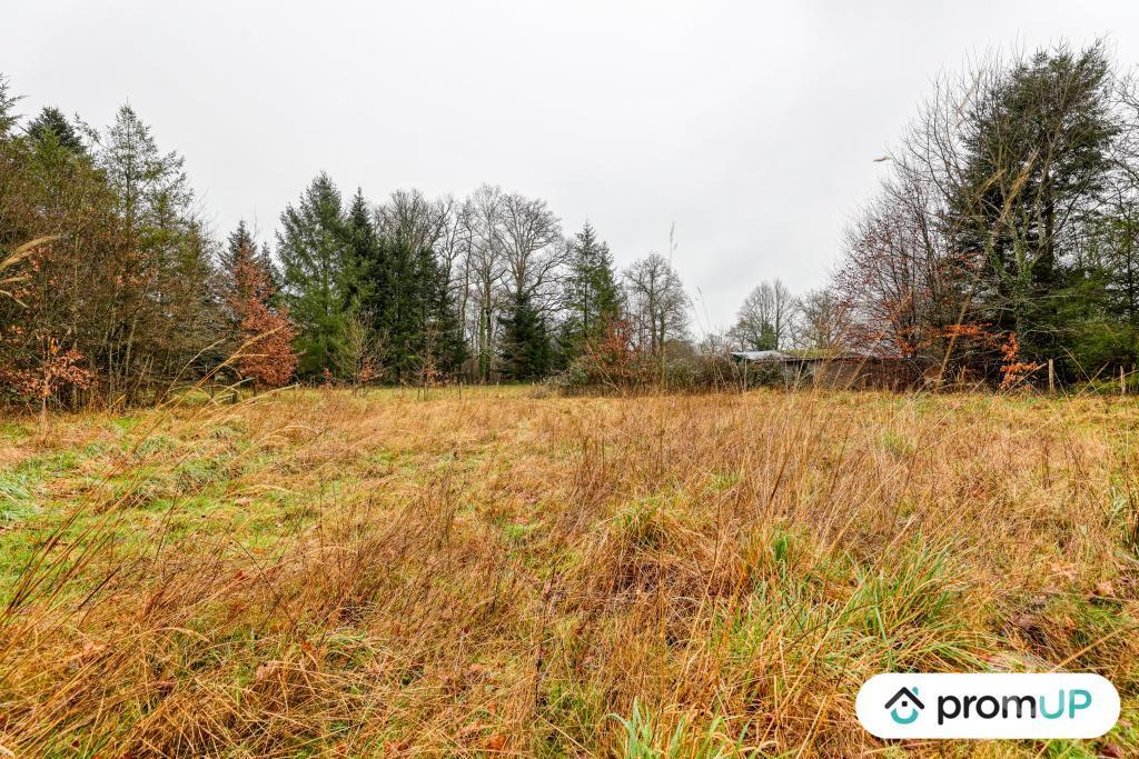 Terrain à vendre Haute-Vienne Peyrilhac - 87510 - Photos Vivastreet (V6487) Terrain de 1243 m2 DONT 300 M2 CONSTRUCTIBLE JUSQU'AU...
