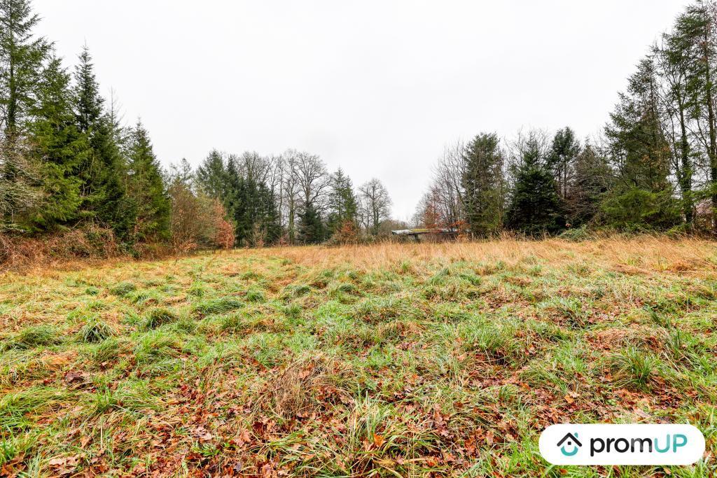 Terrain à vendre Haute-Vienne Peyrilhac - 87510 - Photos Vivastreet (V6487) Terrain de 1243 m2 DONT 300 M2 CONSTRUCTIBLE JUSQU'AU...