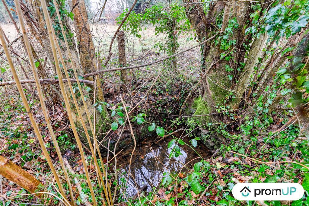 Terrain à vendre Haute-Vienne Peyrilhac - 87510 - Photos Vivastreet (V6487) Terrain de 1243 m2 DONT 300 M2 CONSTRUCTIBLE JUSQU'AU...