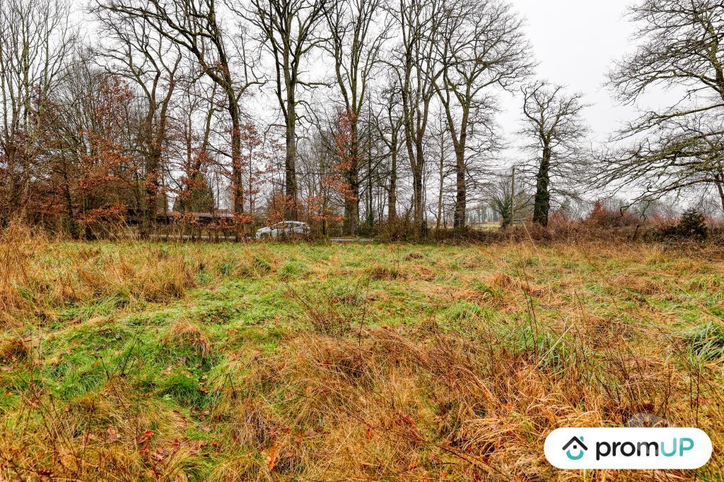 Terrain à vendre Haute-Vienne Peyrilhac - 87510 - Photos Vivastreet (V6487) Terrain de 1243 m2 DONT 300 M2 CONSTRUCTIBLE JUSQU'AU...