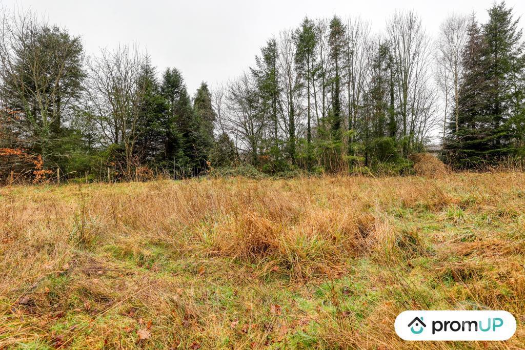 Terrain à vendre Haute-Vienne Peyrilhac - 87510 - Photos Vivastreet (V6487) Terrain de 1243 m2 DONT 300 M2 CONSTRUCTIBLE JUSQU'AU...