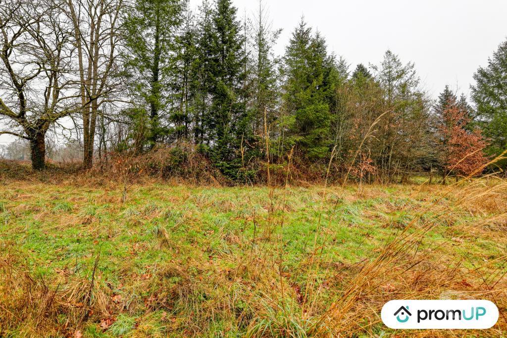 Terrain à vendre Haute-Vienne Peyrilhac - 87510 - Photos Vivastreet (V6487) Terrain de 1243 m2 DONT 300 M2 CONSTRUCTIBLE JUSQU'AU...