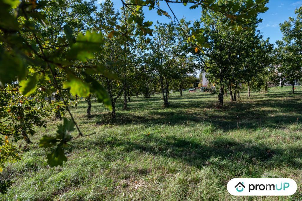 Terrain à vendre Lot Lalbenque - 46230 - Photos Vivastreet (V6893) Terrain constructible de 1173 m2 à LALBENQUE