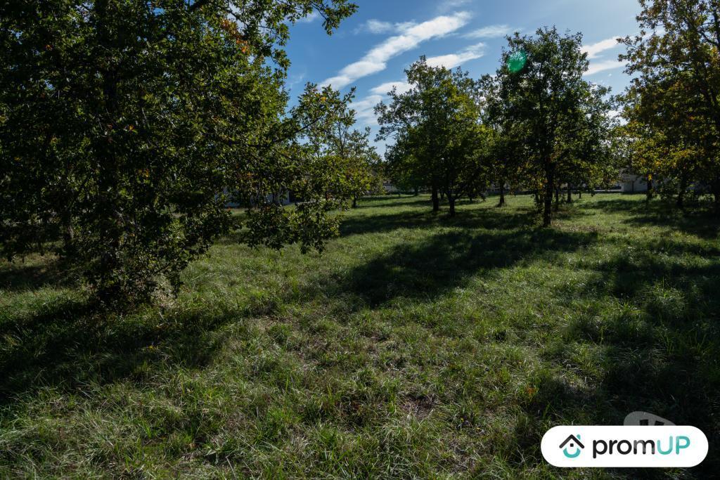 Terrain à vendre Lot Lalbenque - 46230 - Photos Vivastreet (V6892) Terrain constructible de 1098 m2 à LALBENQUE