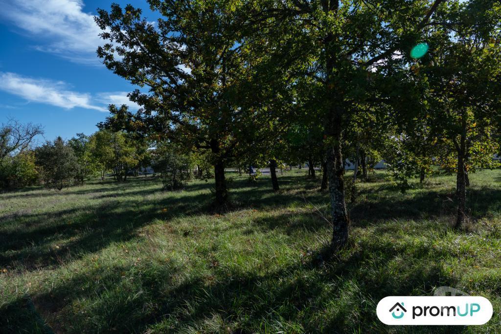 Terrain à vendre Lot Lalbenque - 46230 - Photos Vivastreet (V6892) Terrain constructible de 1098 m2 à LALBENQUE