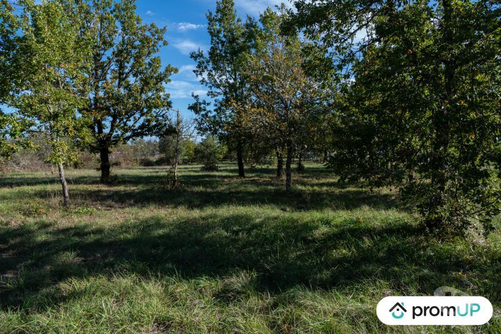 Terrain à vendre Lot Lalbenque - 46230 - Photos Vivastreet (V6892) Terrain constructible de 1098 m2 à LALBENQUE