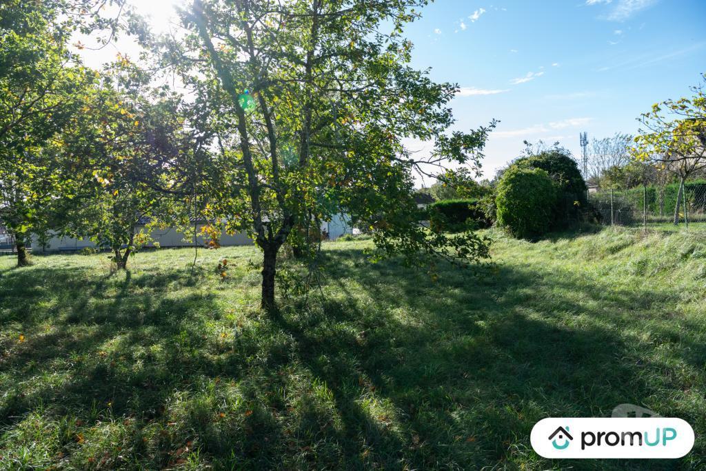 Terrain à vendre Lot Lalbenque - 46230 - Photos Vivastreet (V6891) Terrain constructible de 1490 m2 à LALBENQUE