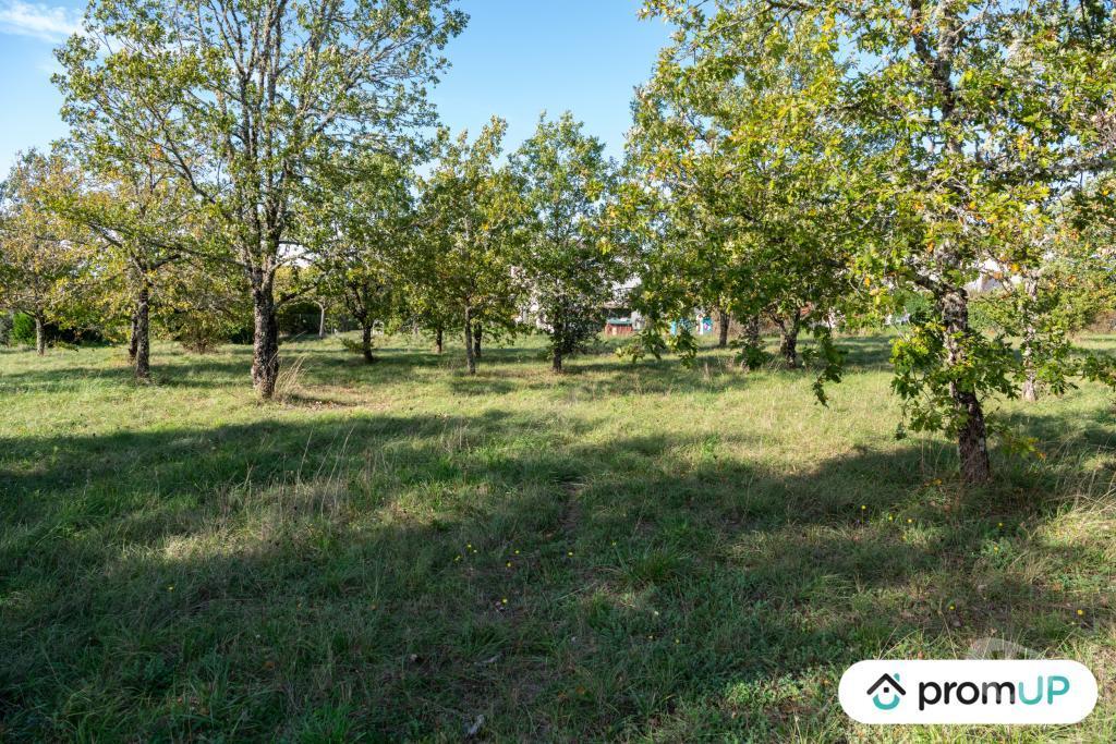 Terrain à vendre Lot Lalbenque - 46230 - Photos Vivastreet (V6891) Terrain constructible de 1490 m2 à LALBENQUE