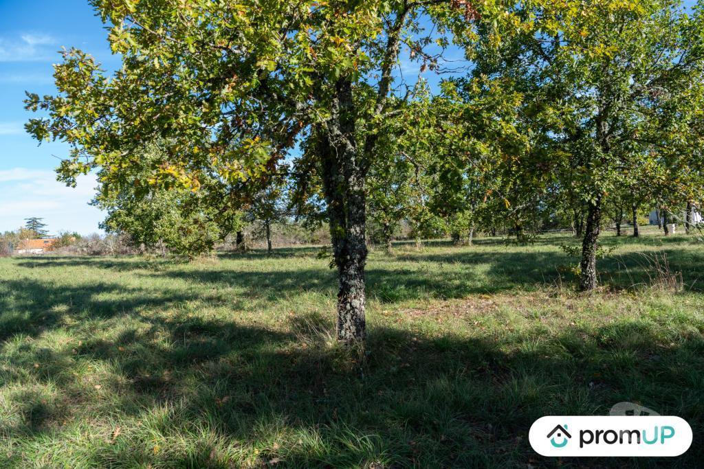 Terrain à vendre Lot Lalbenque - 46230 - Photos Vivastreet (V6891) Terrain constructible de 1490 m2 à LALBENQUE