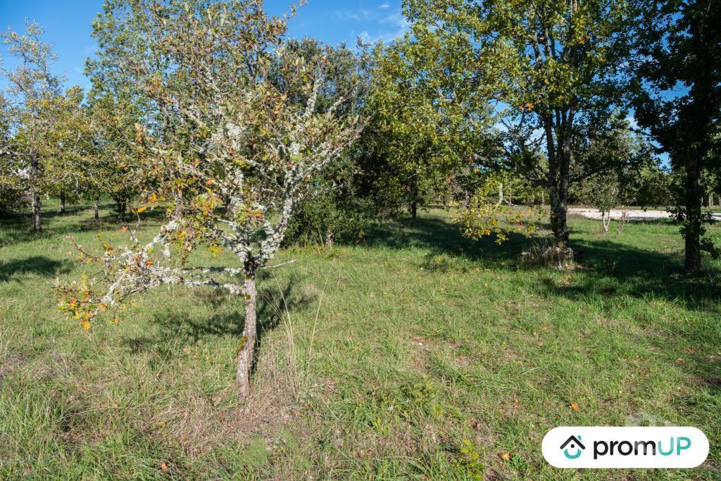 Terrain à vendre Lot Lalbenque - 46230 - Photos Vivastreet (V6891) Terrain constructible de 1490 m2 à LALBENQUE