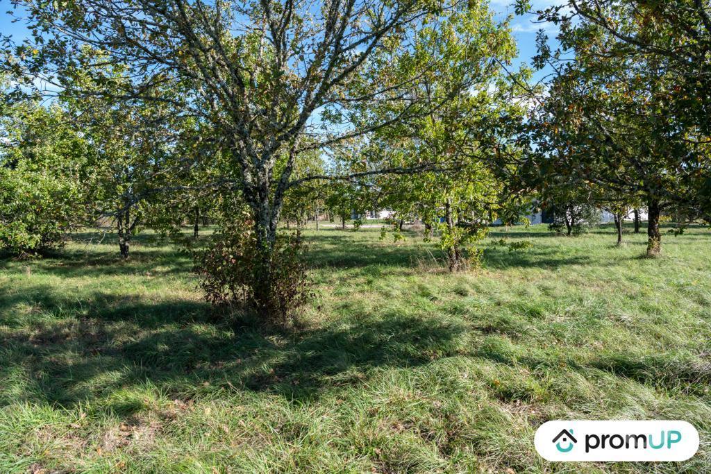 Terrain à vendre Lot Lalbenque - 46230 - Photos Vivastreet (V6891) Terrain constructible de 1490 m2 à LALBENQUE