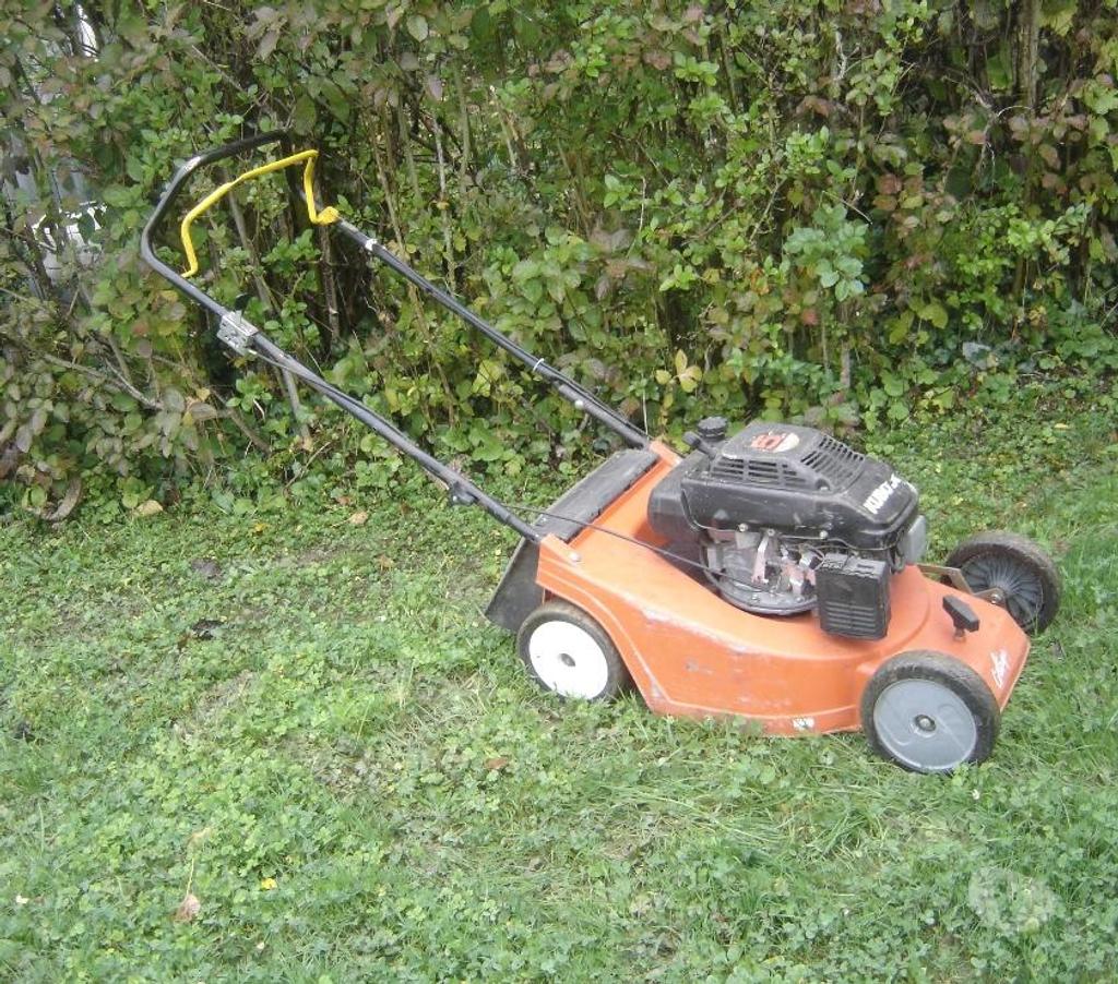  Côte-d'Or Chevigny St Sauveur - 21800 - Photos Vivastreet tondeuse poussée moteur kubota