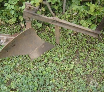 Bricolage - Jardin - Outillage Chevigny St Sauveur Côte-d'Or - Photos Vivastreet charrue pour bricoleur