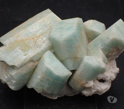 Collections Bertrichamps Meurthe-et-Moselle - Photos Vivastreet Groupe de Cristaux de Microcline , Amazonite , USA