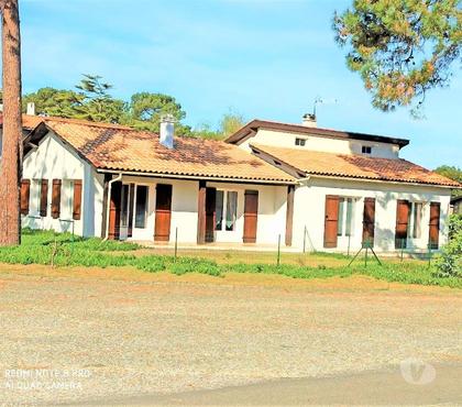 locations de vacances Biscarrosse Landes - Photos Vivastreet Villa T3 dans quartier calme et boisé Biscarrosse Plage