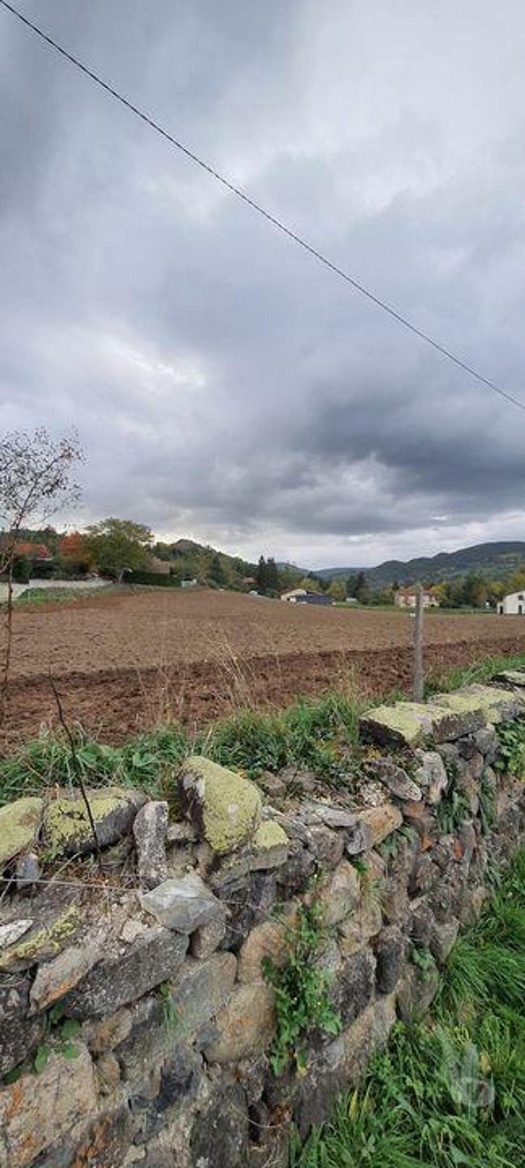Terrain à vendre Haute-Loire Yssingeaux - 43200 - Photos Vivastreet Terrain de 4540m² situé à Rosières proche de toutes les