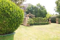 Photos Vivastreet Belle maison bourgeoise à Marciac
