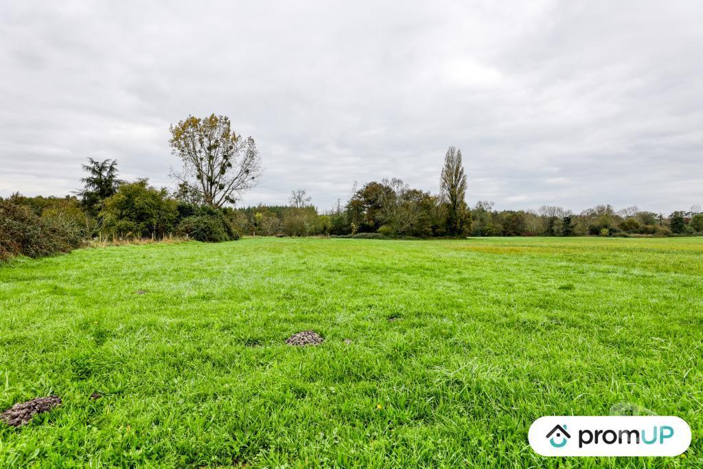 Terrain à vendre Charente-Maritime Chepniers - 17210 - Photos Vivastreet (V6907) Terrains de 3600 m2 à CHEPNIERS