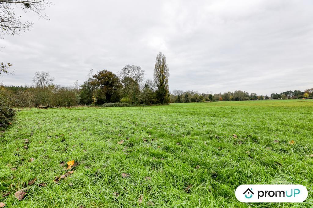 Terrain à vendre Charente-Maritime Chepniers - 17210 - Photos Vivastreet (V6907) Terrains de 3600 m2 à CHEPNIERS