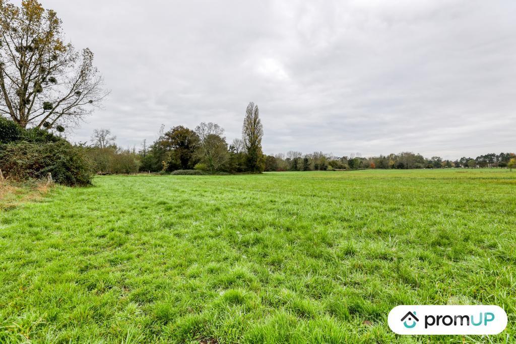 Terrain à vendre Charente-Maritime Chepniers - 17210 - Photos Vivastreet (V6907) Terrains de 3600 m2 à CHEPNIERS