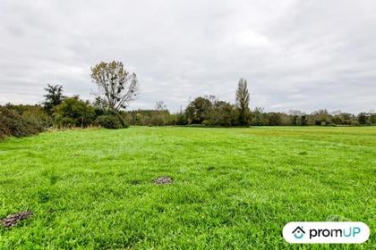Terrain à vendre Chepniers Charente-Maritime - Photos Vivastreet (V6907) Terrains de 3600 m2 à CHEPNIERS