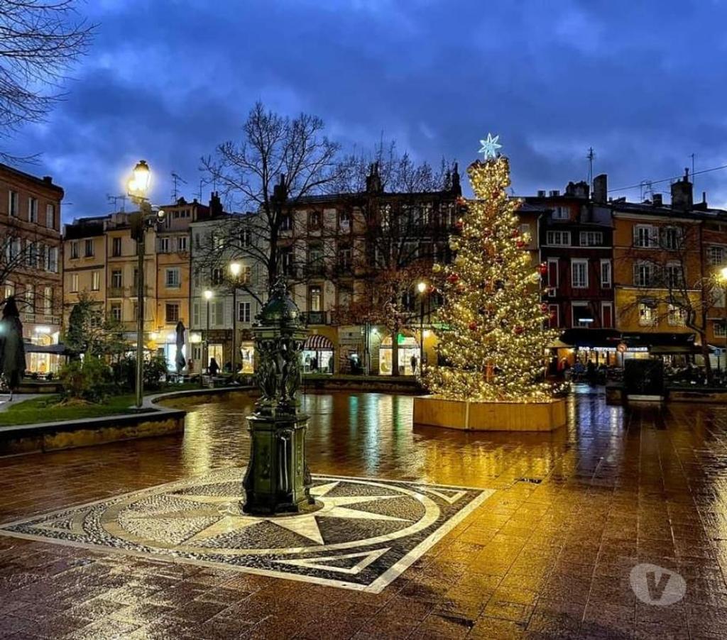 location saisonniere Haute-Garonne Toulouse - Photos Vivastreet T2 PLEIN CENTRE HISTORIQUE BELLE VUE SUR PLACE SAINT-GEORGES