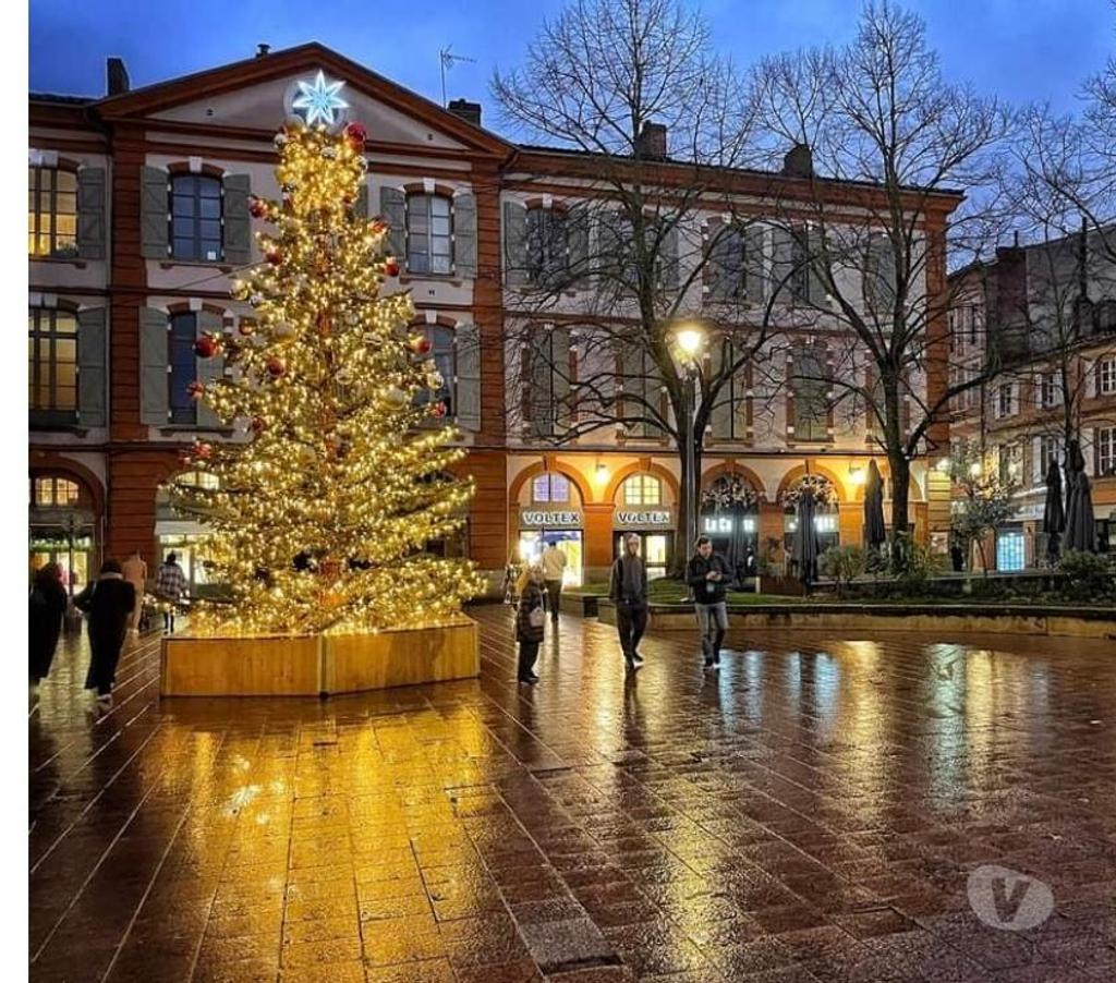 location saisonniere Haute-Garonne Toulouse - Photos Vivastreet T2 PLEIN CENTRE HISTORIQUE BELLE VUE SUR PLACE SAINT-GEORGES