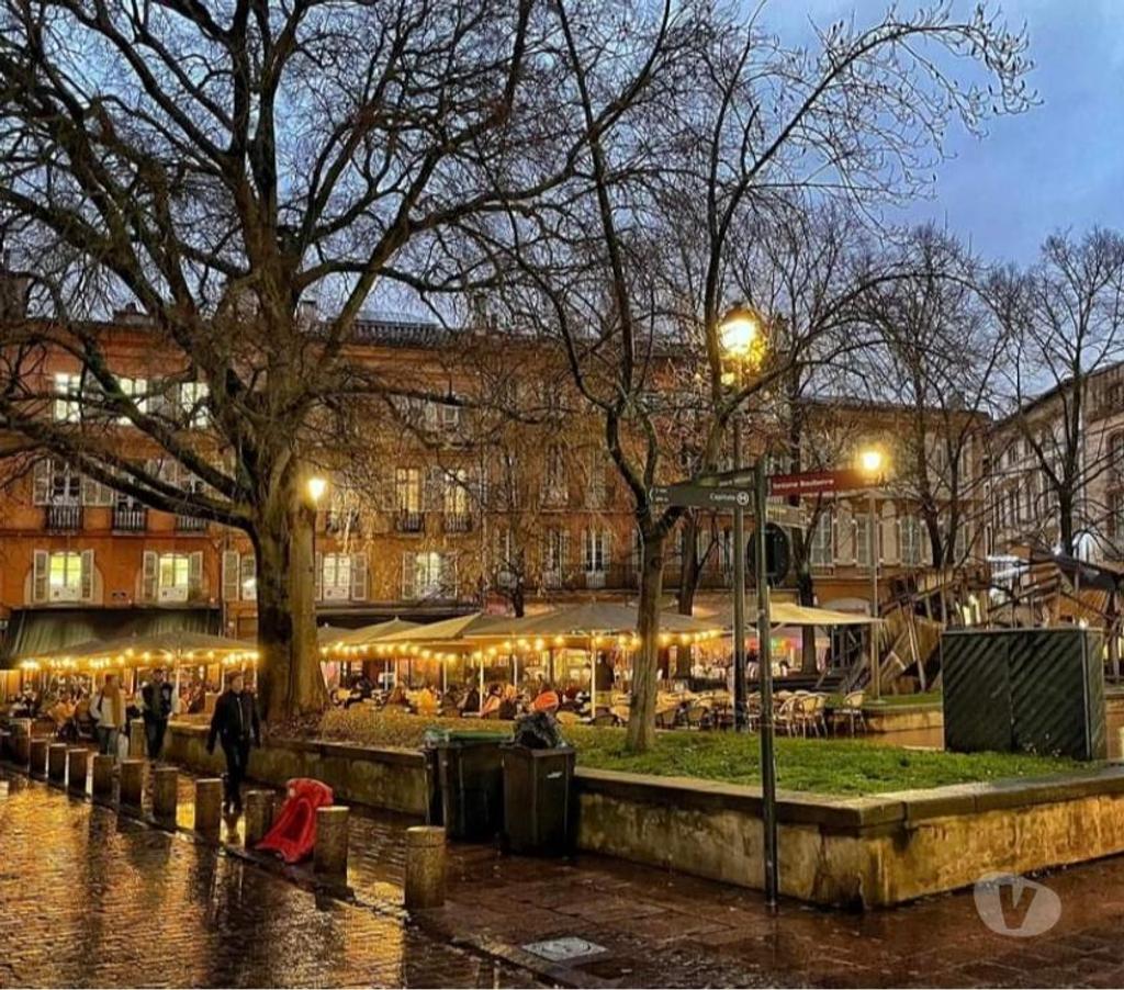 location saisonniere Haute-Garonne Toulouse - Photos Vivastreet T2 PLEIN CENTRE HISTORIQUE BELLE VUE SUR PLACE SAINT-GEORGES