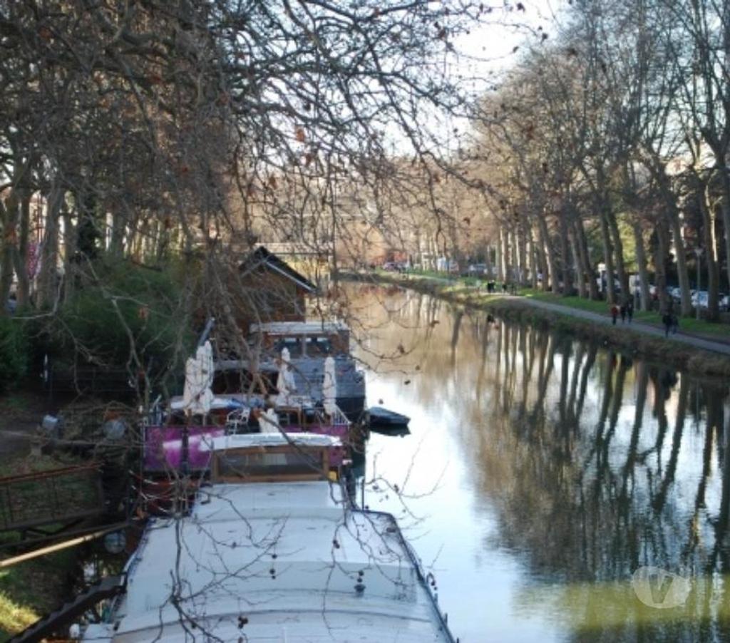 location saisonniere Haute-Garonne Toulouse - Photos Vivastreet T2 AU CALME VUE SUR PARC CENTENAIRE ET PISCINE