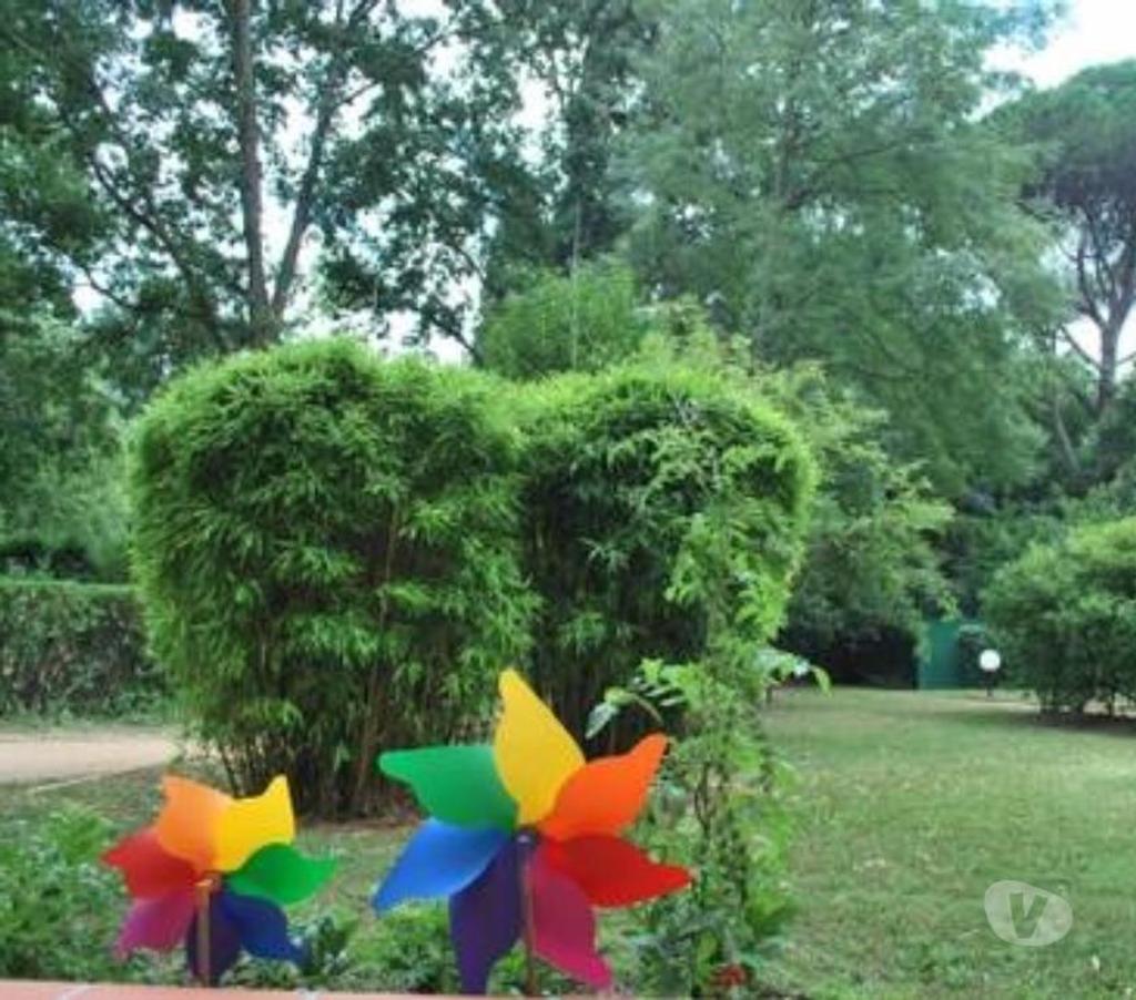 location saisonniere Haute-Garonne Toulouse - Photos Vivastreet T2 AU CALME VUE SUR PARC CENTENAIRE ET PISCINE
