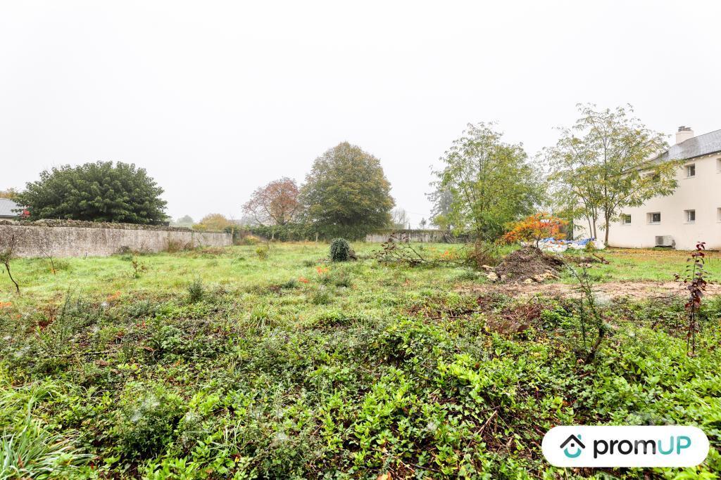 Terrain à vendre Indre-et-Loire Chinon - 37500 - Photos Vivastreet (V6896) Terrain constructible de 1510 m2 avec dépendance à CHINON