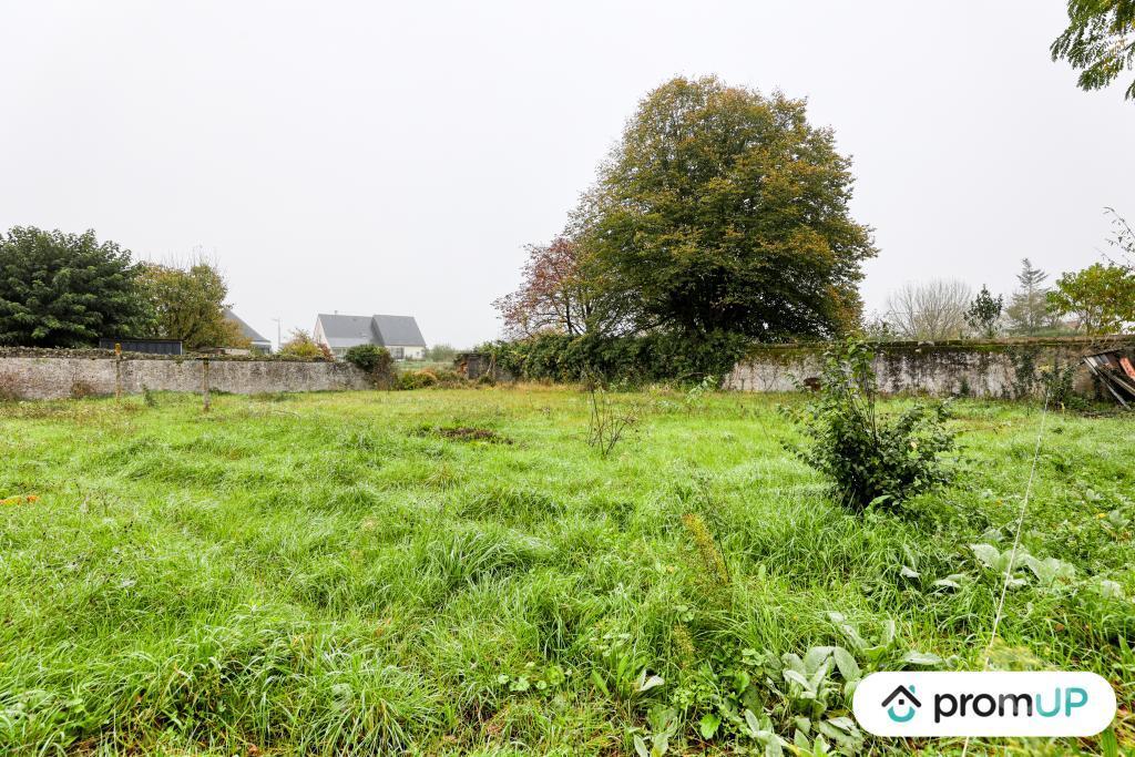 Terrain à vendre Indre-et-Loire Chinon - 37500 - Photos Vivastreet (V6896) Terrain constructible de 1510 m2 avec dépendance à CHINON