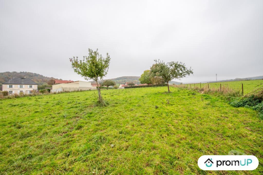 Terrain à vendre Seine-Maritime Rieux - 76340 - Photos Vivastreet (V6911) Terrain constructible de 4262 m2 à RIEUX