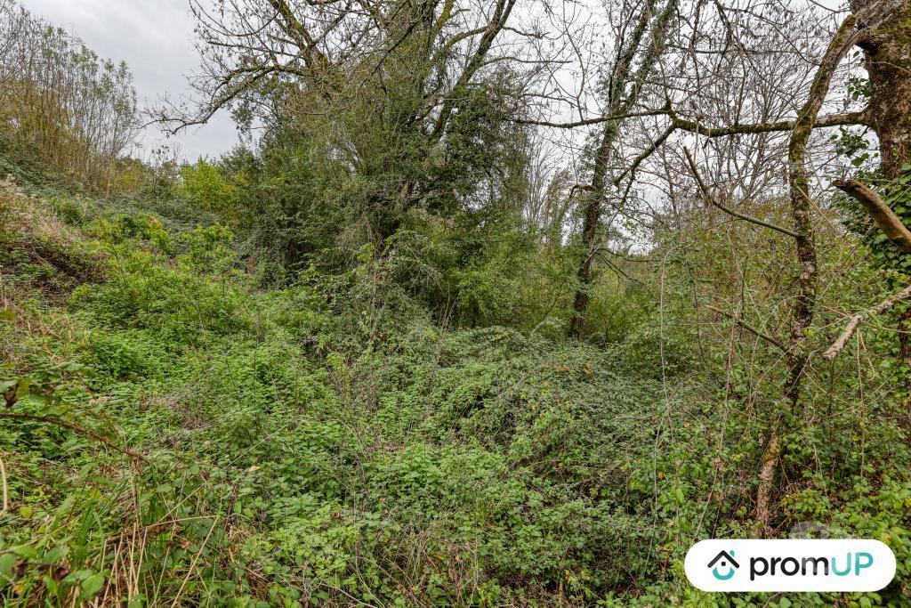 Terrain à vendre Corrèze Mansac - 19520 - Photos Vivastreet (V6903) Terrain constructible de 17 000 m2 à MANSAC